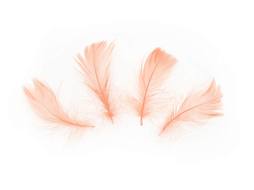 Piórka dekoracyjne brzoskwiniowe krótkie - 50 szt.