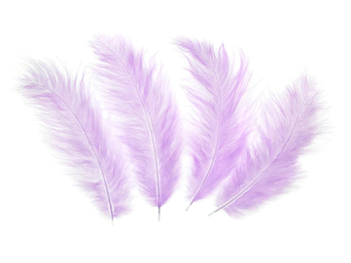 Piórka dekoracyjne fioletowe długie - 50 szt.