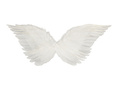 Skrzydła anioła białe -  67 x 26 cm - 1 szt.