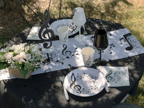 Serwetki papierowe Pięciolinia - 33 cm - 20 szt.