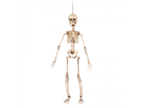 Dekoracja wisząca Szkielet - 50 cm - 1 szt.