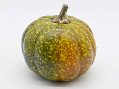 Dekoracja Dynia styropianowa - 10 cm - 1 szt.