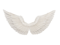 Skrzydła anioła białe -  68 x 33 cm - 1 szt.