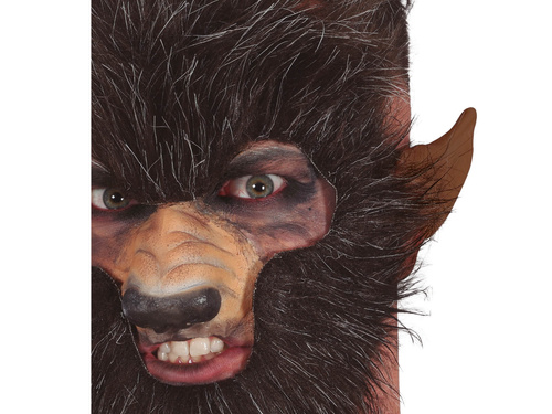 Uszy Wilkołaka - 1 szt.