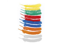 Pióra do pióropusza - 1 op.