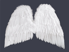 Skrzydła anioła białe - 55 x 48cm