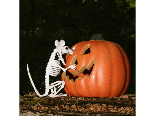 Dekoracja Szkielet Szczura - 18 cm - 1 szt.