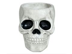 Miska Czacha - 1 szt.