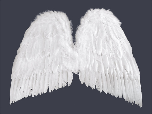 Skrzydła anioła białe - 55 x 48cm