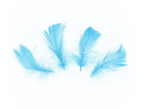 Piórka dekoracyjne niebieskie krótkie - 50 szt.