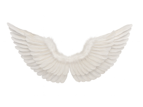 Skrzydła anioła białe - 68 x 33 cm - 1 szt.