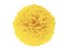 Dekoracja wisząca pompon kwiat - żółty - 35 cm - 1 szt.