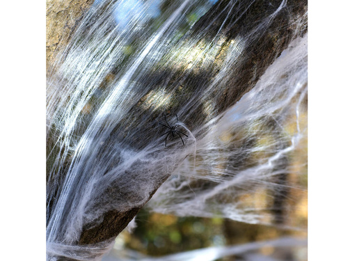 Pajęczyna z 25 pająkami - 500 g - 1 op.