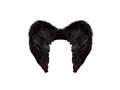 Czarne skrzydła z piór 50×40 cm