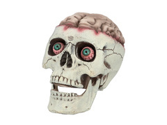 Czaszka na Halloween z ruchomą szczęką  - 1 szt.