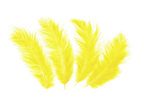 Piórka dekoracyjne żółte długie - 50 szt.
