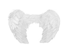 Skrzydła anioła białe - 55 x 38 cm - 1 szt.