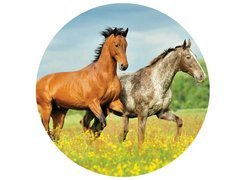 Dekoracyjny opłatek tortowy Konie - 20 cm