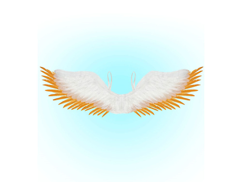 Skrzydła anioła białe ze złotymi piórami - 100 x 25 cm - 1 szt.