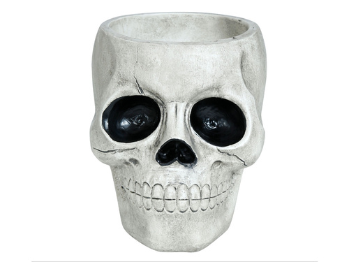 Miska Czacha - 1 szt.