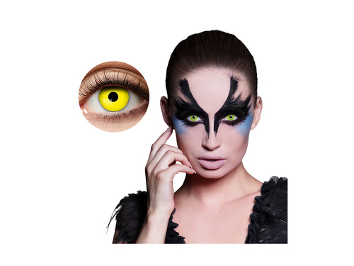 Soczewki kontaktowe Kruk - 3-miesięczne