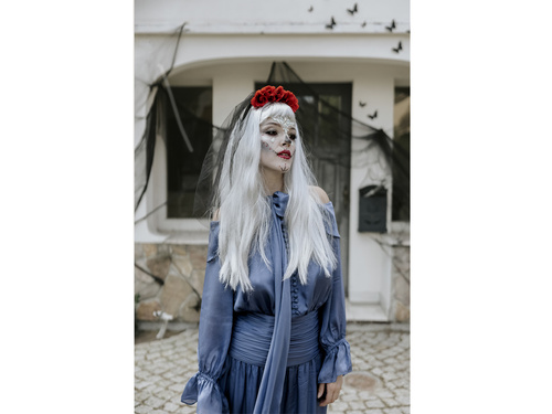 Peruka srebrna z grzywką - 1 szt.