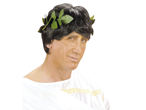 Wieniec laurowy zielony - 1 szt.