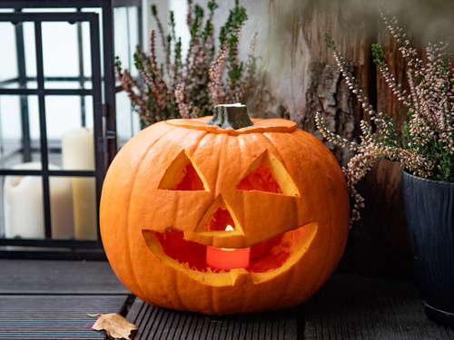 Zestaw do rzeźbienia w Dyni - 1 kpl.