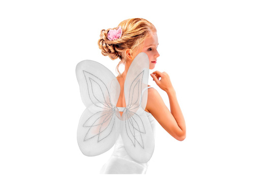 Białe skrzydła 58×46 cm