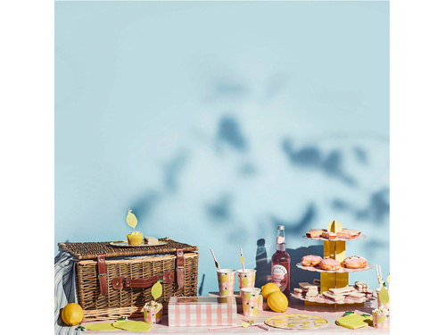 Baner Cytryny - 250 cm - 1 szt.