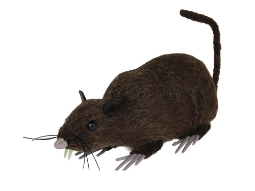 Szczur na Halloween - 15 cm - 1 szt.