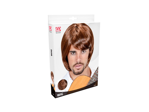 Peruka Bjorn, gwiazda pop lat 70.