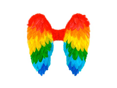 Tęczowe składane skrzydła z piór 50×50 cm