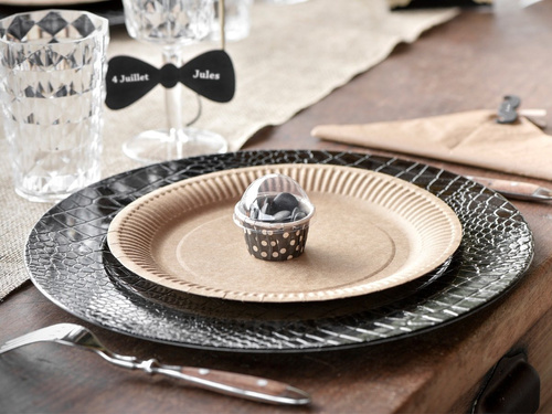 Talerzyki kraftowe - 22,5 cm - 10 szt.