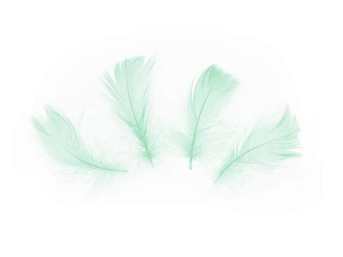 Piórka dekoracyjne zielone krótkie - 50 szt.