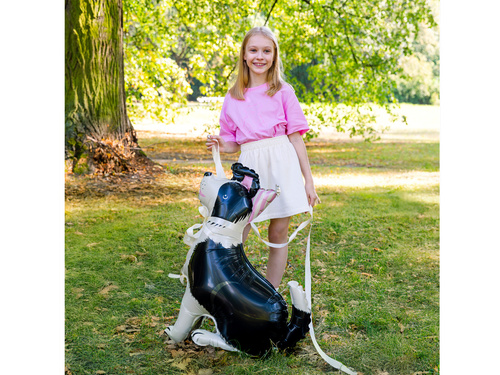 Balon foliowy stojący Pies Border Collie - 76x92 cm - 1 szt.