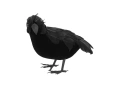 Dekoracja Wrona czarna - 1 szt.
