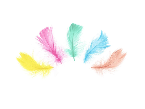 Piórka dekoracyjne mix kolorów krótkie - 50 szt.