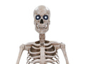 Dekoracja stojąca Szkielet XXL  - 243 cm - 1 szt.