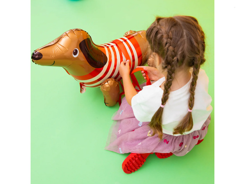 Balon foliowy Jamnik - 68 x 43 cm - 1 szt.