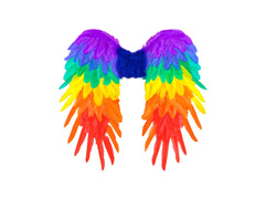Tęczowe składane skrzydła z piór 50×50 cm