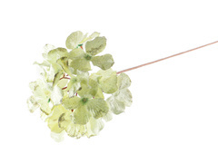 Sztuczna hortensja kremowa - 60 cm - 1 szt.