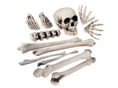 Zestaw kości z czaszką - 12 szt.