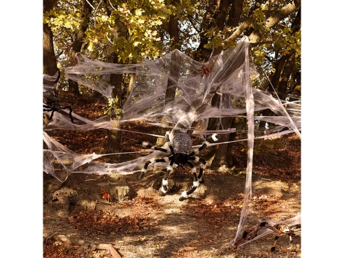 Pająk włochaty - 50 x 70 cm - 1 szt.