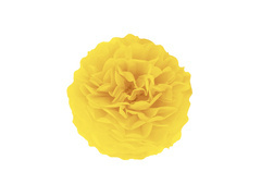 Dekoracja wisząca pompon kwiat - żółty - 25 cm - 1 szt.