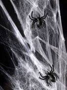 Sieć, pajęczyna pająka 60 g z 12 pająkami  na Halloween