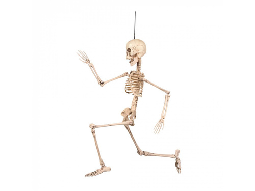 Dekoracja wisząca Szkielet - 50 cm - 1 szt.