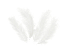 Piórka dekoracyjne białe długie - 50 szt.