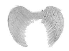 Skrzydła anioła białe - 45x35 cm