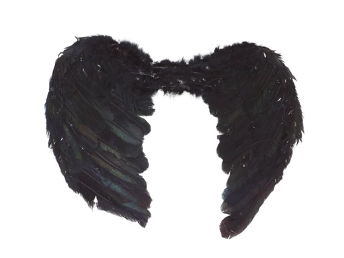 Skrzydła anioła czarne z piórami - 50 x 40 cm - 1 szt.